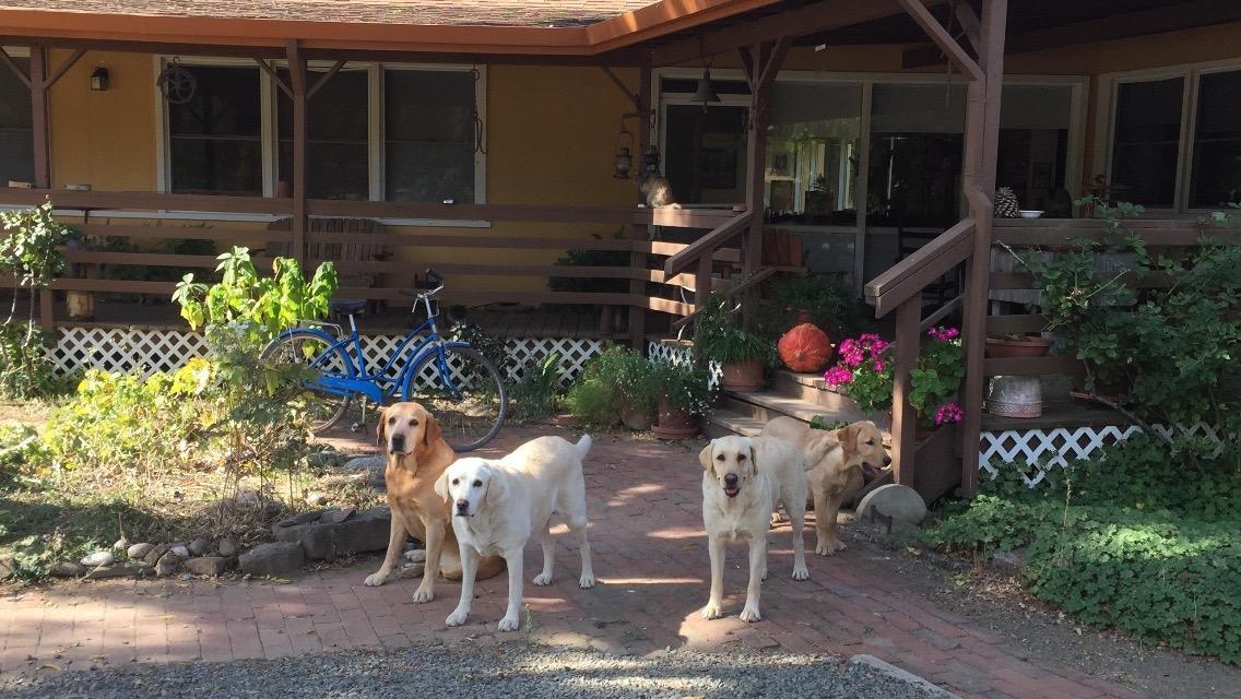 Rustridge Ranch & Winery Bed & Breakfast Света Елена Екстериор снимка
