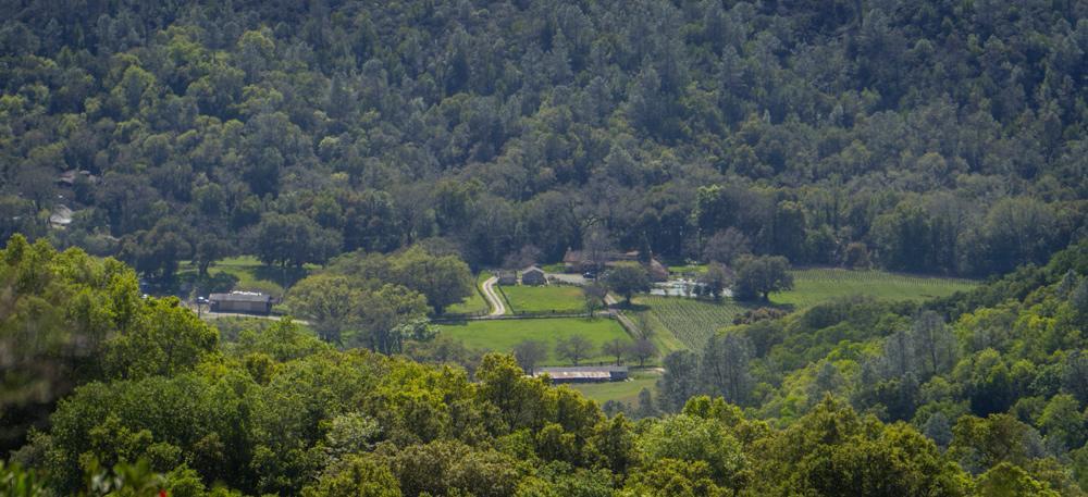 Rustridge Ranch & Winery Bed & Breakfast Света Елена Екстериор снимка