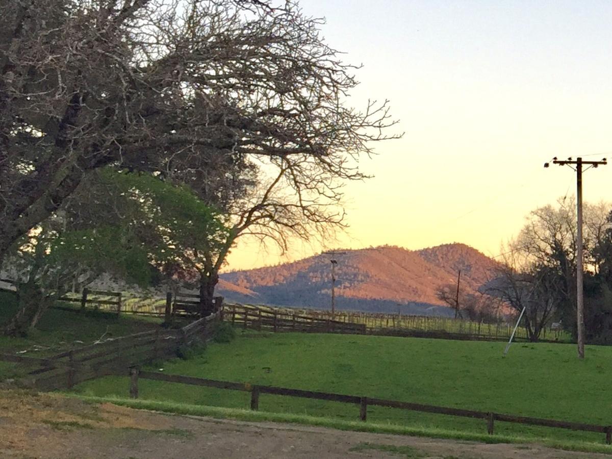 Rustridge Ranch & Winery Bed & Breakfast Света Елена Екстериор снимка