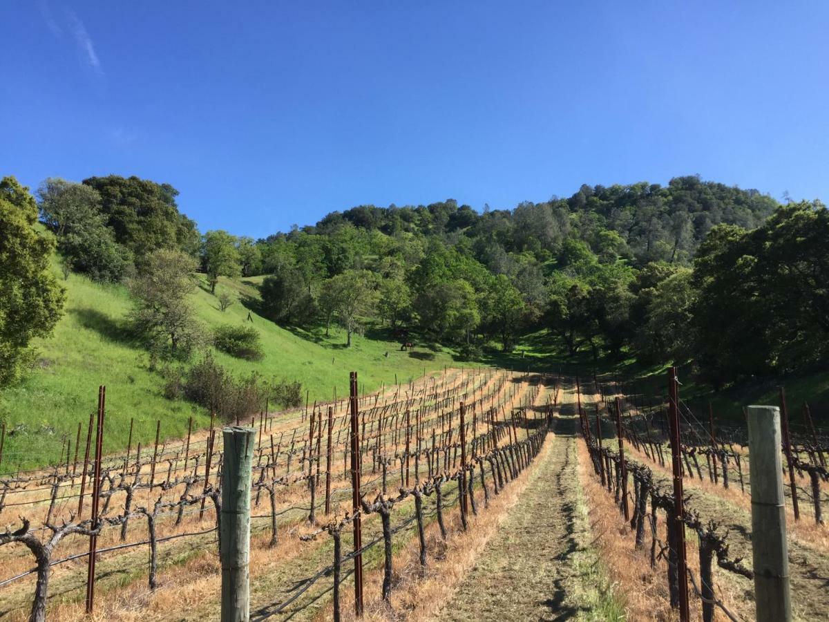 Rustridge Ranch & Winery Bed & Breakfast Света Елена Екстериор снимка