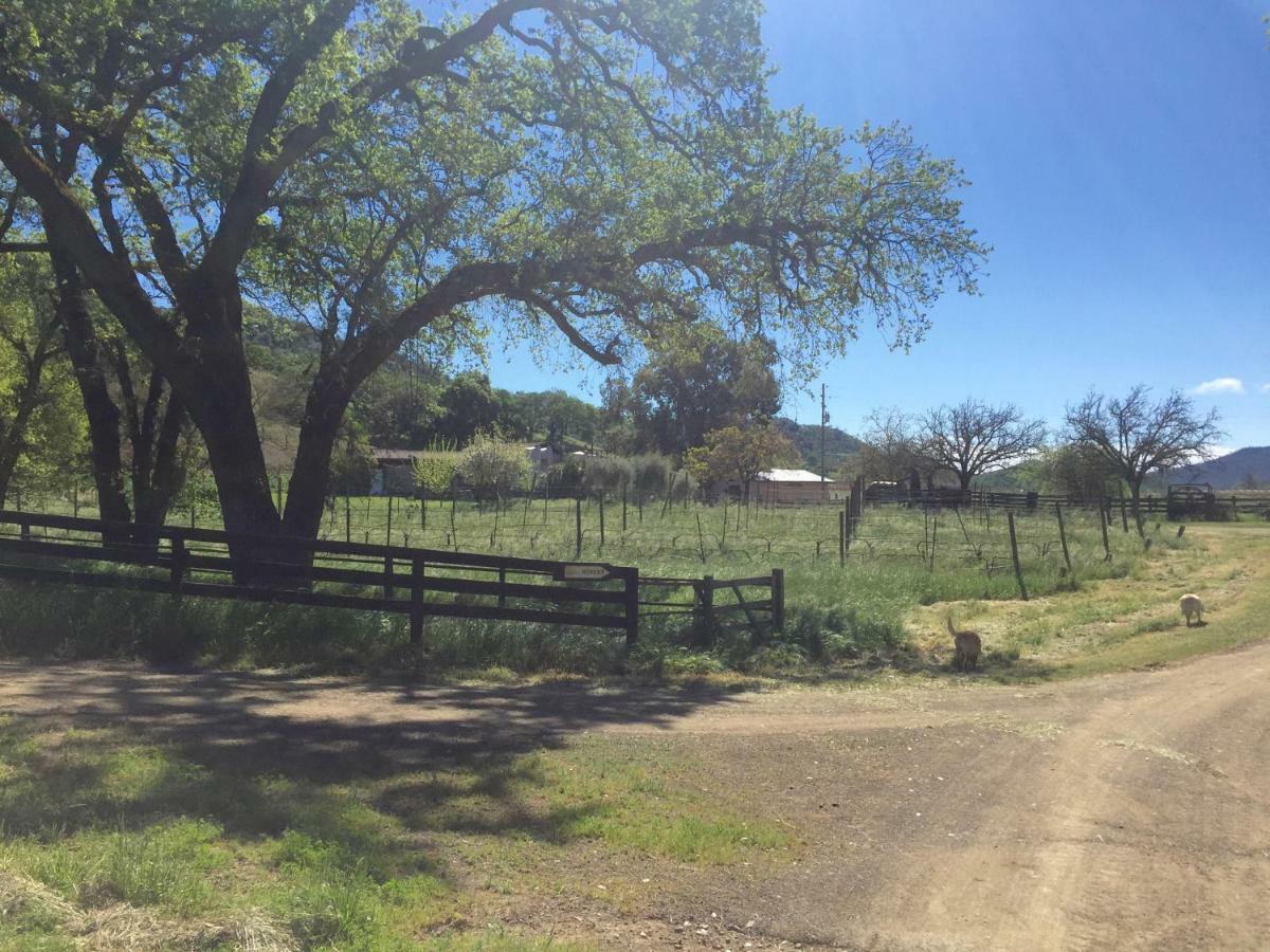 Rustridge Ranch & Winery Bed & Breakfast Света Елена Екстериор снимка