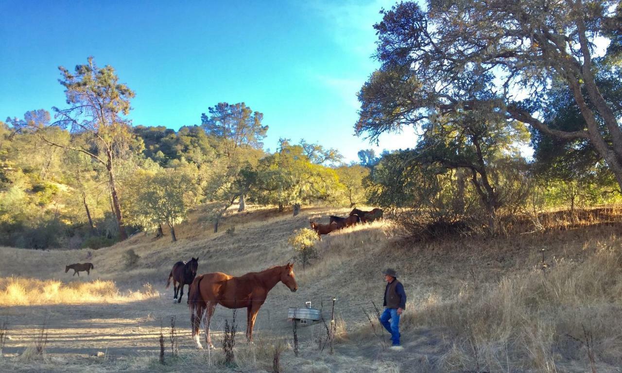 Rustridge Ranch & Winery Bed & Breakfast Света Елена Екстериор снимка