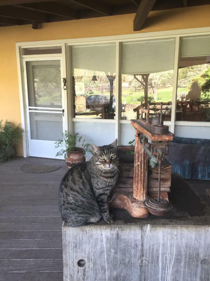 Rustridge Ranch & Winery Bed & Breakfast Света Елена Екстериор снимка